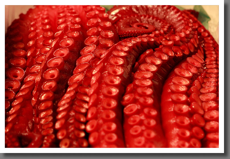 Japan - Tsukiji Fish market